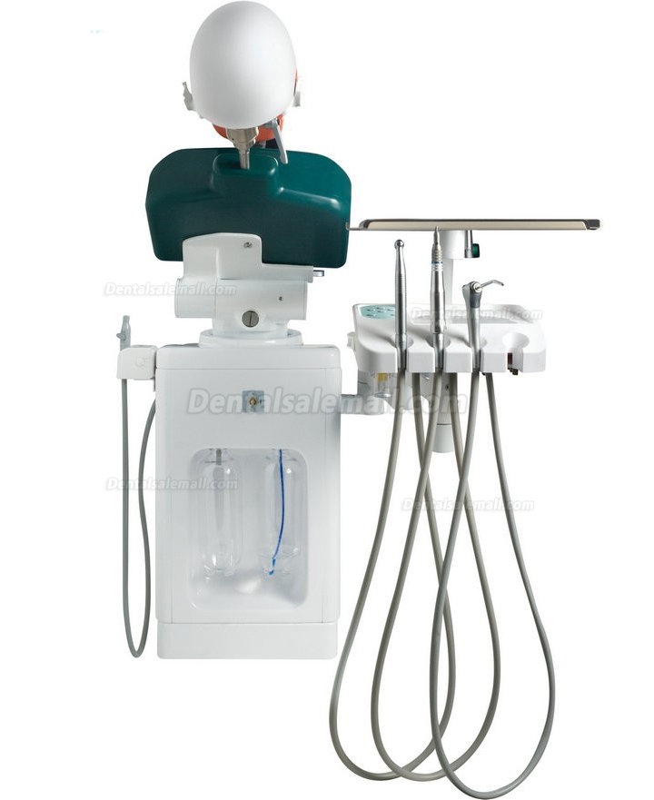 Jingle JG-A2 Dental Simulator Manikins Phantom Head Simulation Unit Typodont Compatible with Nissin Kilgore/Frasaco